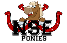 NCE Logo